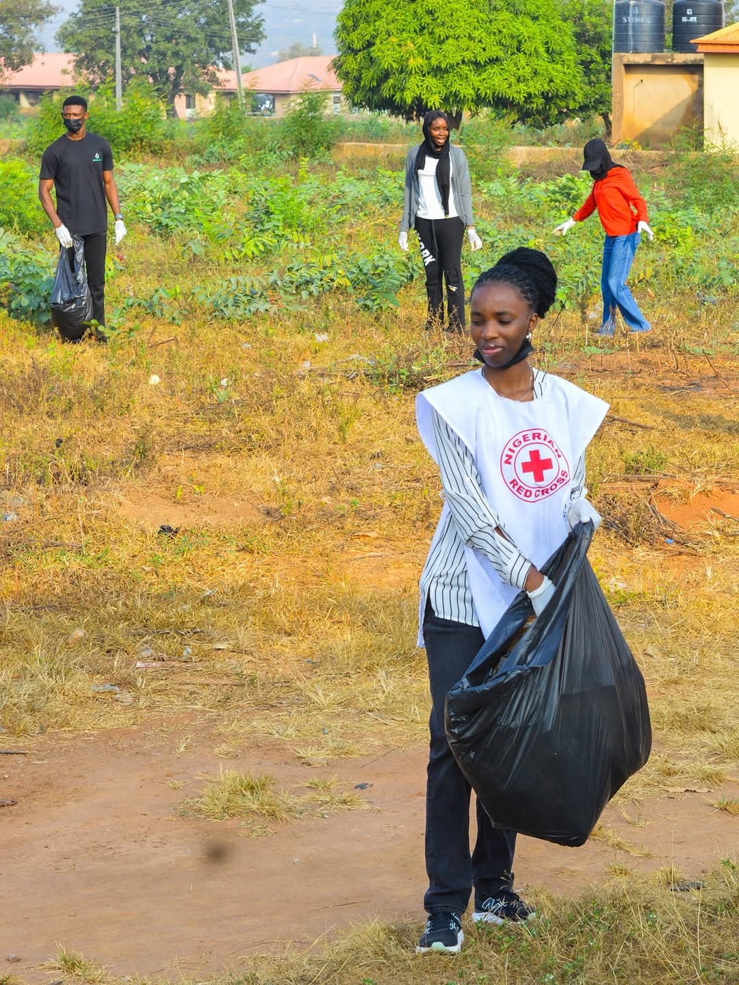 The micro-plastics picked up